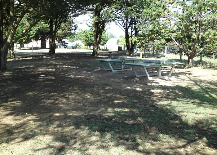 Les Courlis, Notre-dame De Monts * نوتر دام دي مونتس